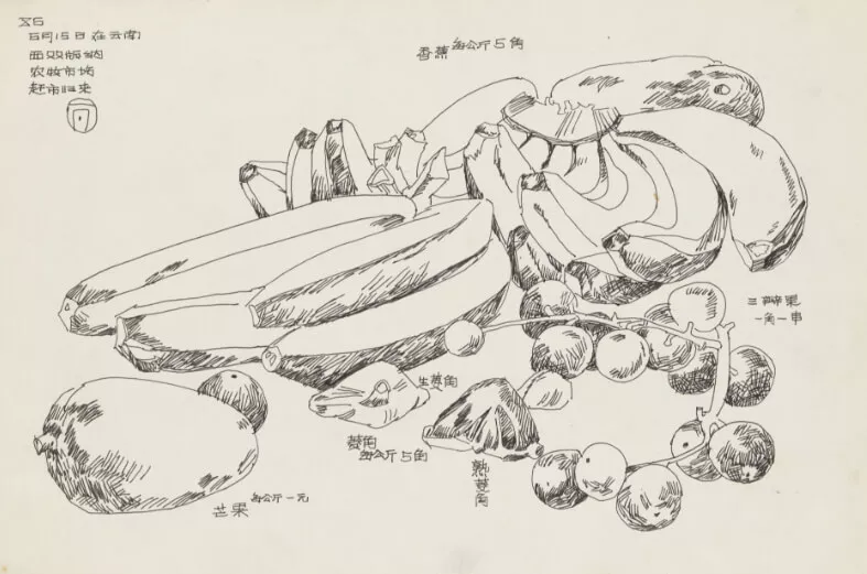 Xishuangbanna / Agricultural and Livestock Market / Back from the market